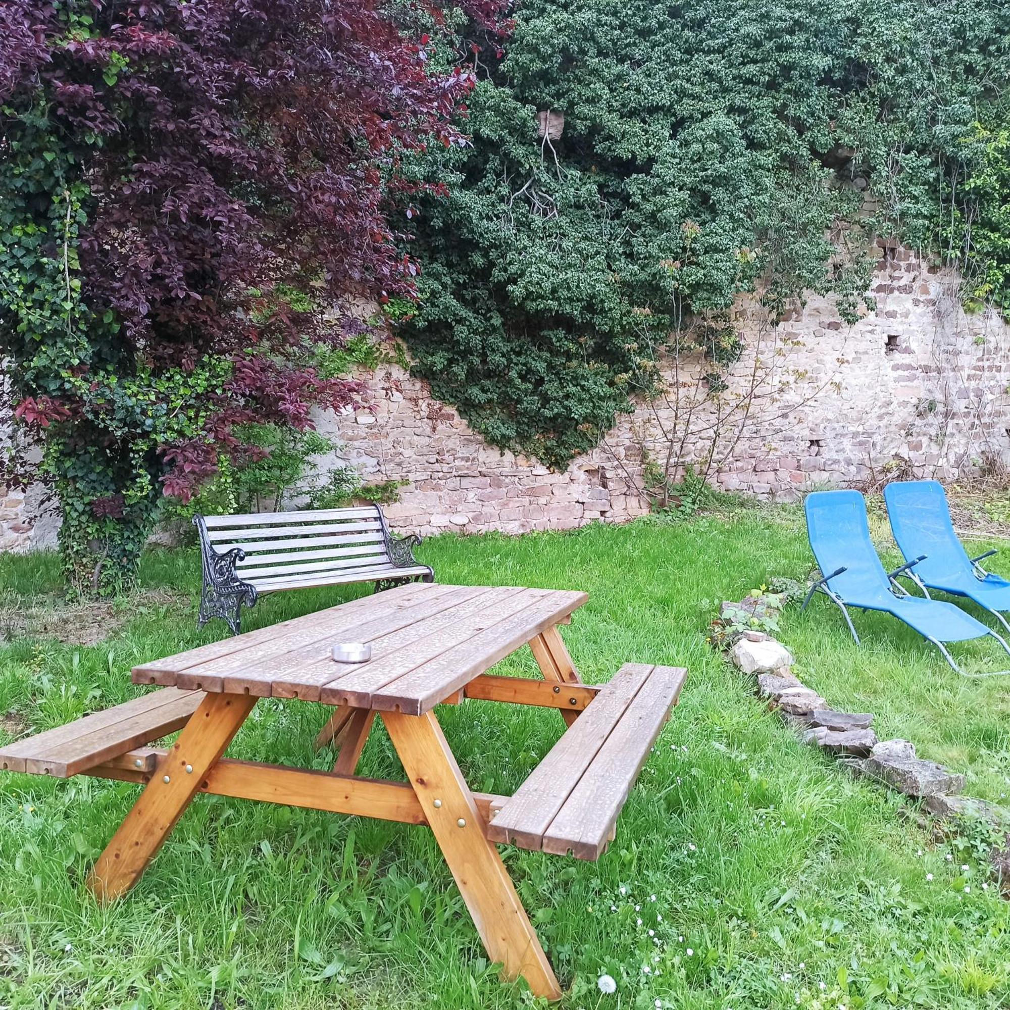 Joli Gite F2 Independant Avec Jardin Prive Rouffach Buitenkant foto