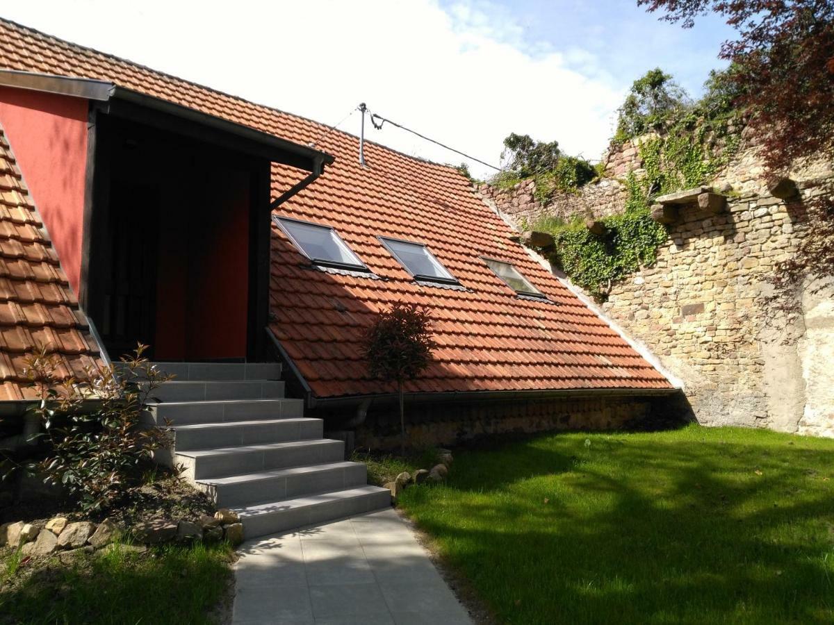 Joli Gite F2 Independant Avec Jardin Prive Rouffach Buitenkant foto