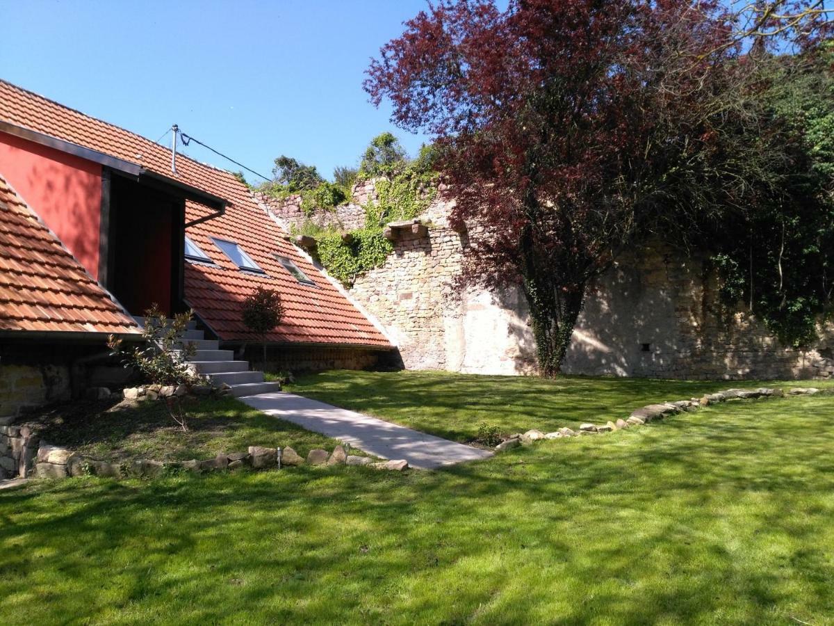 Joli Gite F2 Independant Avec Jardin Prive Rouffach Buitenkant foto